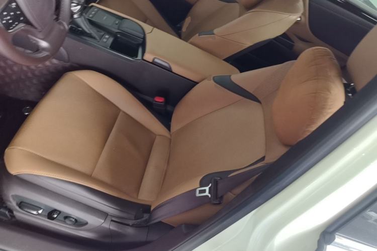 Used Lexus ES 2020 300h Premier Edition Left Front Seat