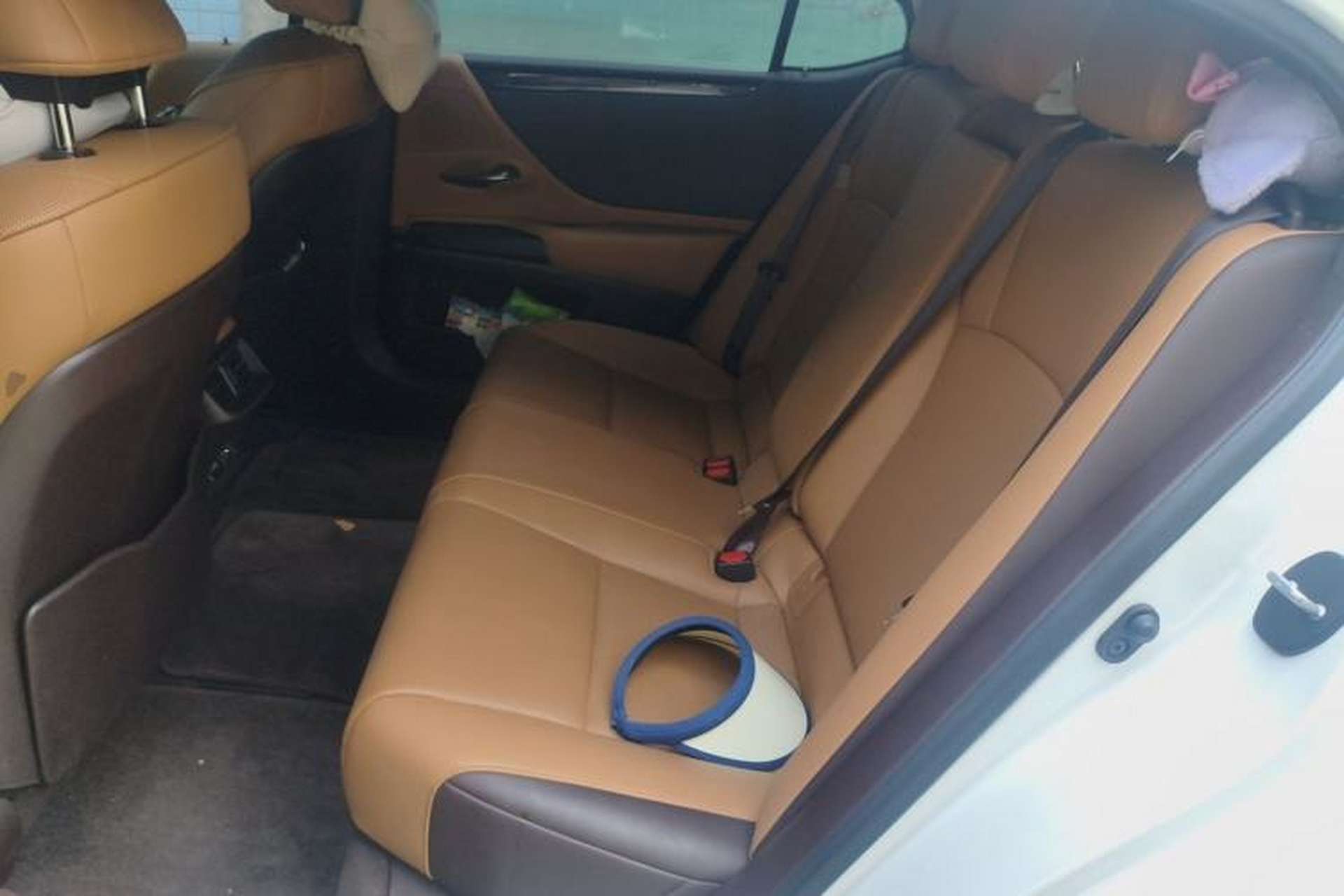 Used Lexus ES 2020 200 Excellence Edition Left Rear Seat