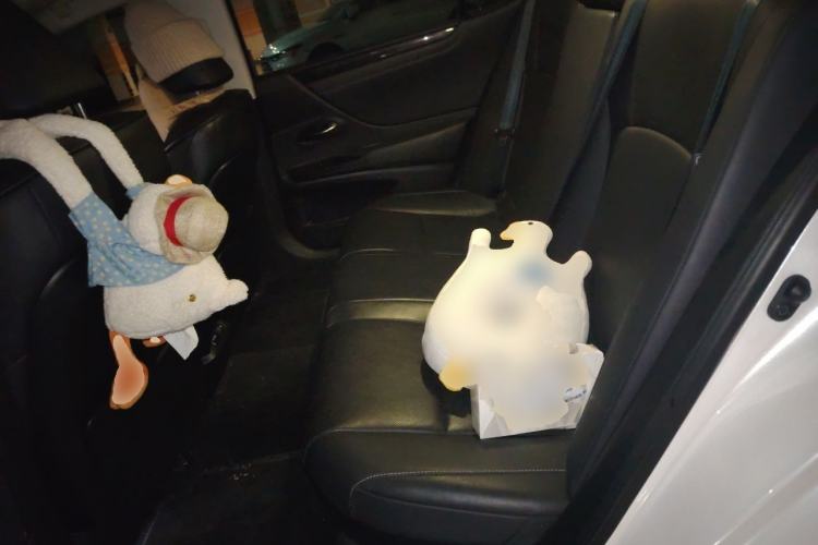 Used Lexus ES 2020 300h Premier Edition Left Rear Seat
