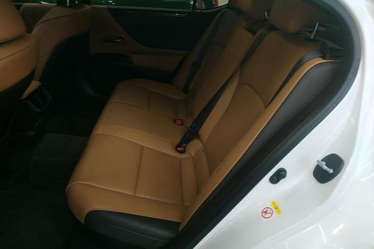 Used Lexus ES 2020 300h Premier Edition Left Rear Seat