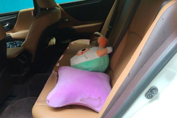 Used Lexus ES 2020 200 Excellence Edition Left Rear Seat