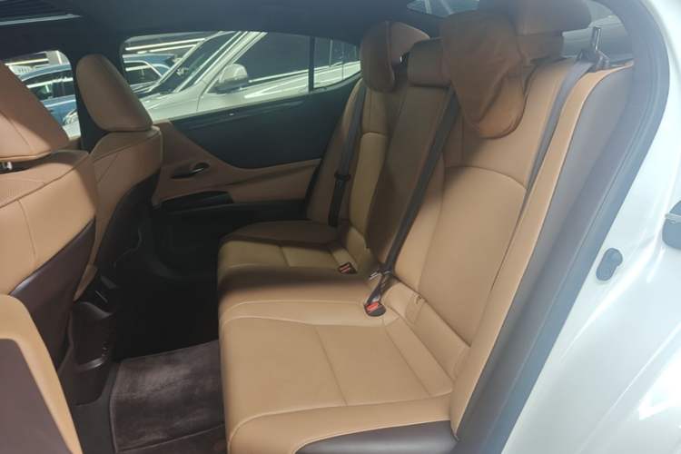 Used Lexus ES 2020 260 Excellence Edition Left Rear Seat