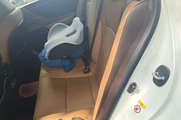 Used Lexus ES 2020 200 Luxury Edition Left Rear Seat