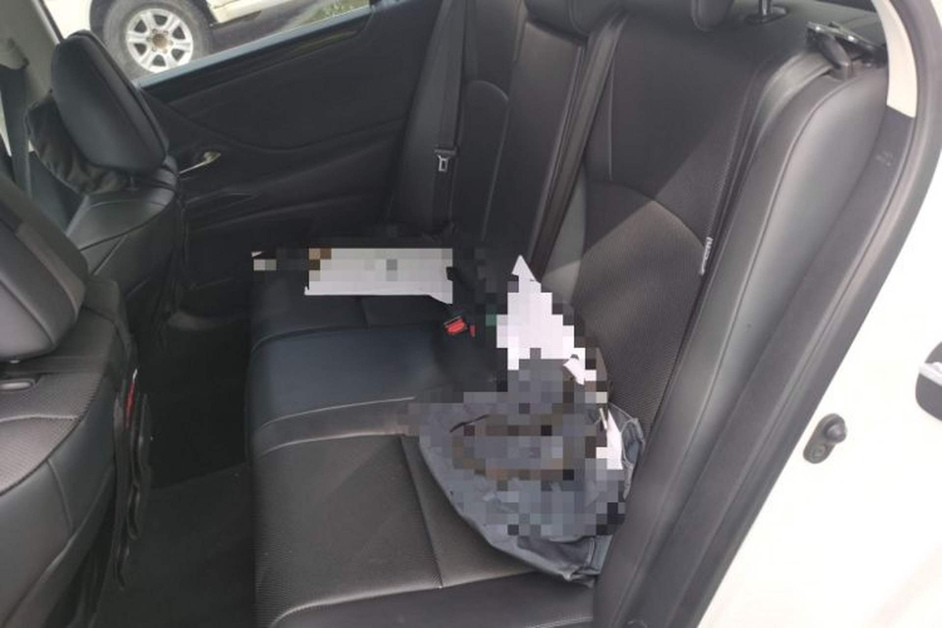 Used Lexus ES 2020 300h Premier Edition Left Rear Seat