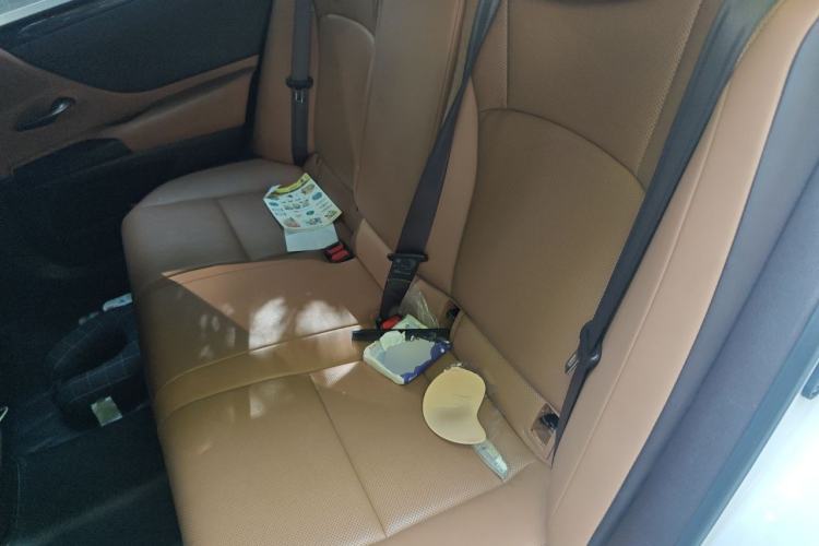 Used Lexus ES 2020 300h Premier Edition Left Rear Seat
