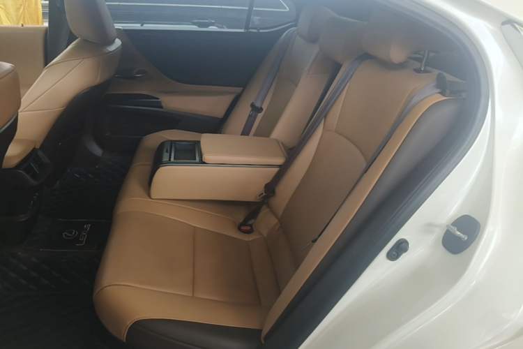 Used Lexus ES 2020 300h Premier Edition Left Rear Seat