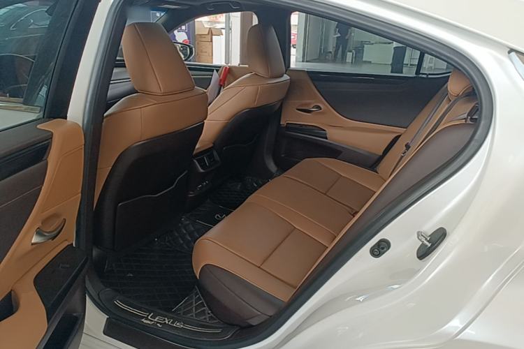 Used Lexus ES 2020 300h Premier Edition Left Rear Seat