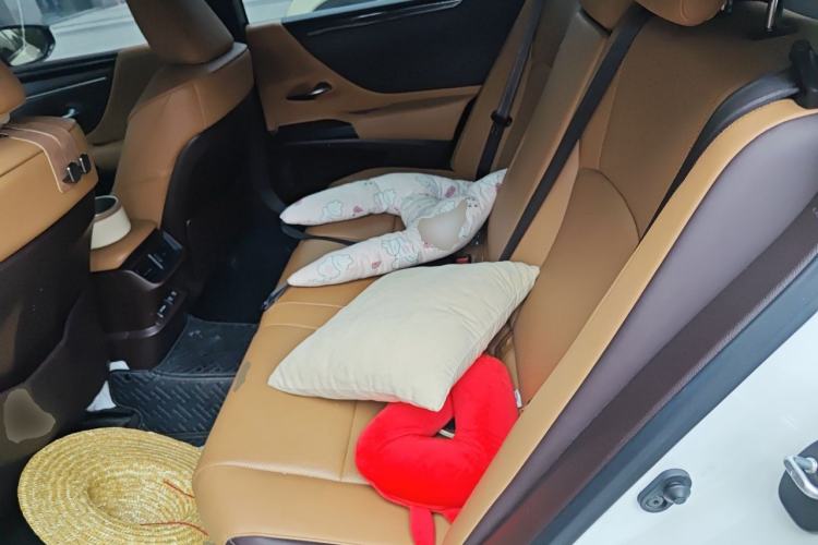 Used Lexus ES 2020 300h Deluxe Edition Left Rear Seat
