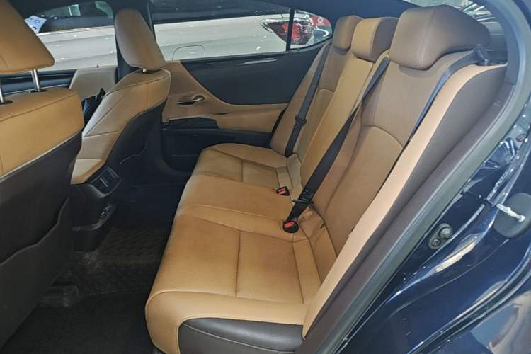Used Lexus ES 2020 200 Excellence Edition Left Rear Seat