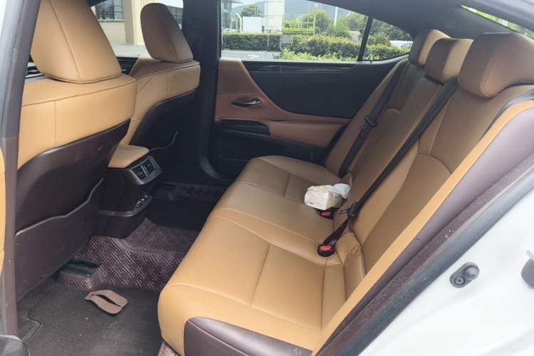 Used Lexus ES 2020 200 Excellence Edition Left Rear Seat