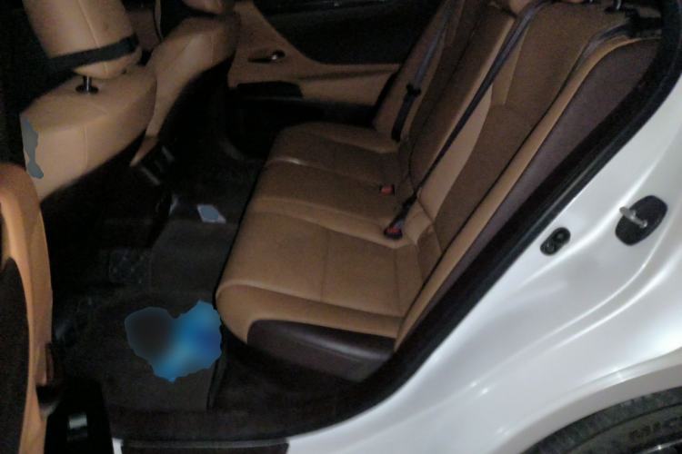 Used Lexus ES 2020 300h Premier Edition Left Rear Seat