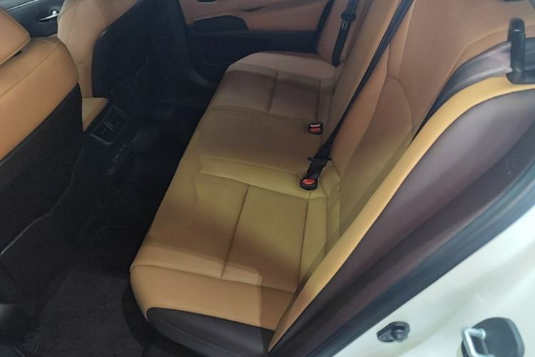 Used Lexus ES 2020 300h Premier Edition Left Rear Seat