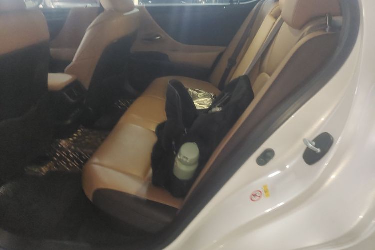 Used Lexus ES 2020 300h Premier Edition Left Rear Seat