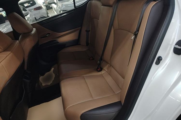 Used Lexus ES 2020 200 Excellence Edition Left Rear Seat