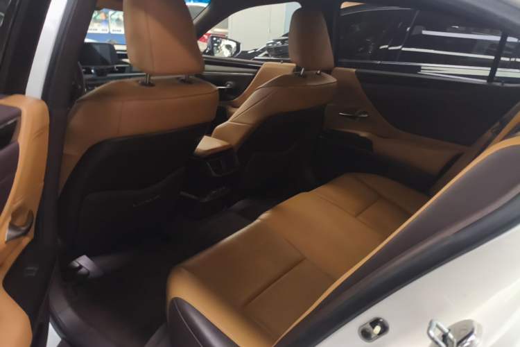 Used Lexus ES 2020 200 Excellence Edition Left Rear Seat
