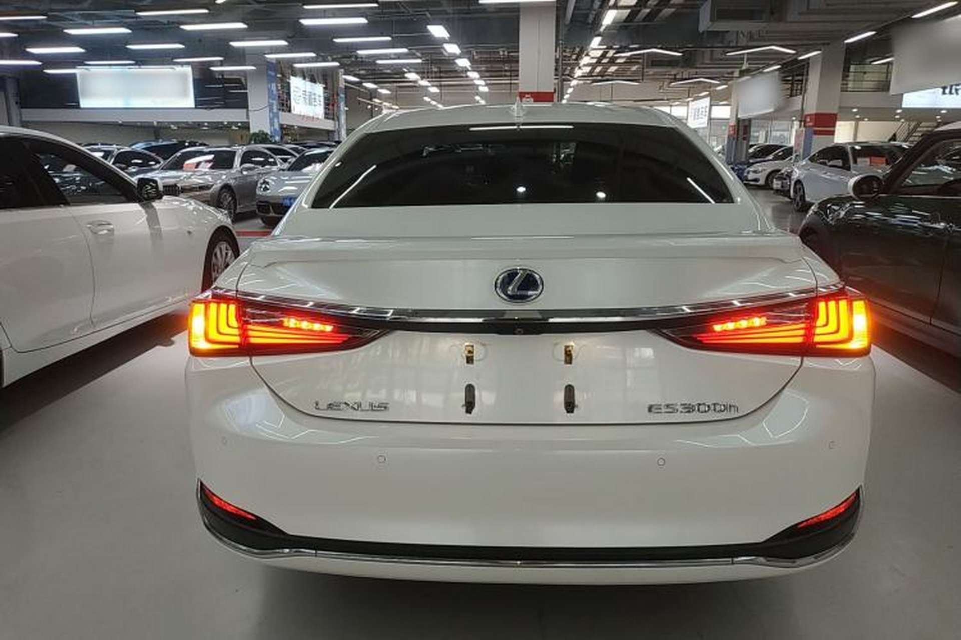 Used Lexus ES 2020 300h Premier Edition Rear