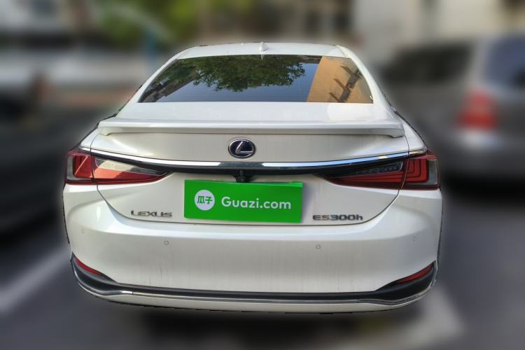 Used Lexus ES 2020 300h Premium Edition Rear