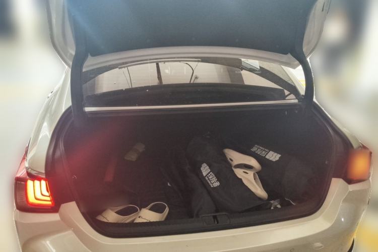 Used Lexus ES 2020 200 Excellence Edition Trunk