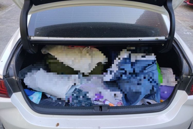 Used Lexus ES 2020 300h Premier Edition Trunk
