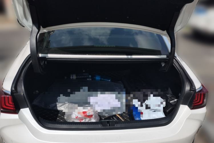 Used Lexus ES 2020 300h Premier Edition Trunk