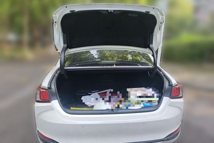 Used Lexus ES 2020 300h Premier Edition Trunk