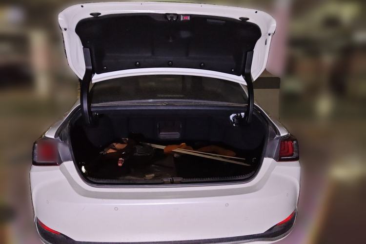Used Lexus ES 2020 200 Luxury Edition Trunk