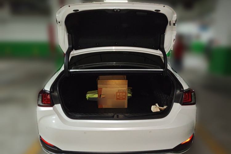 Used Lexus ES 2020 200 Excellence Edition Trunk