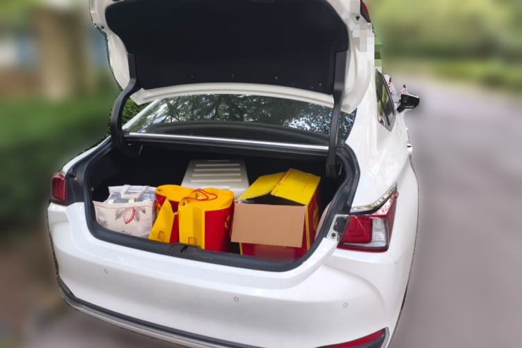 Used Lexus ES 2020 200 Excellence Edition Trunk