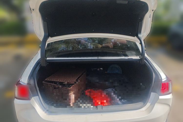 Used Lexus ES 2020 300h Premier Edition Trunk