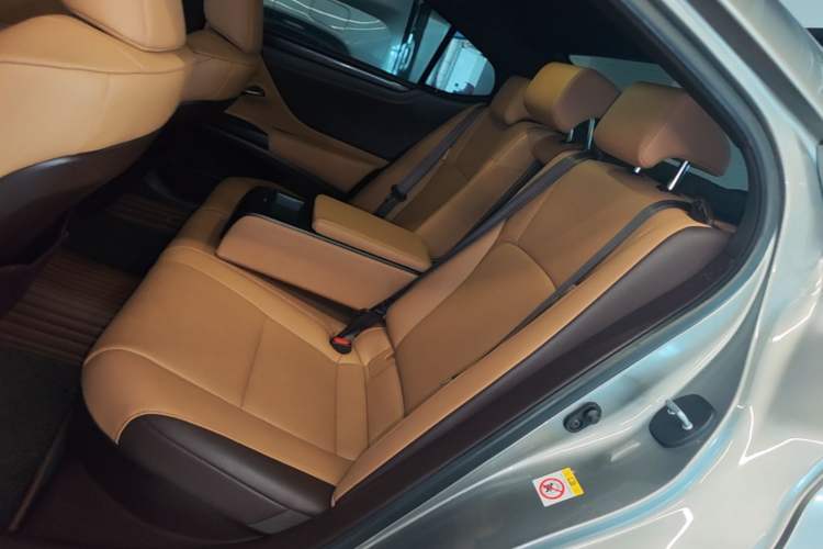Used Lexus ES 2020 300h Premier Edition Left Rear Seat