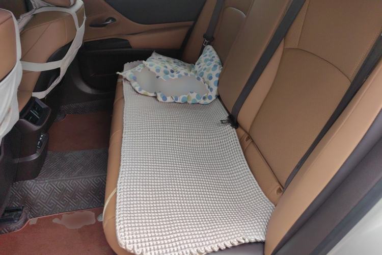 Used Lexus ES 2020 300h Premier Edition Left Rear Seat