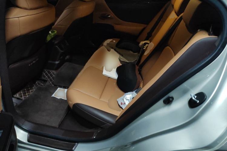 Used Lexus ES 2020 300h Premier Edition Left Rear Seat