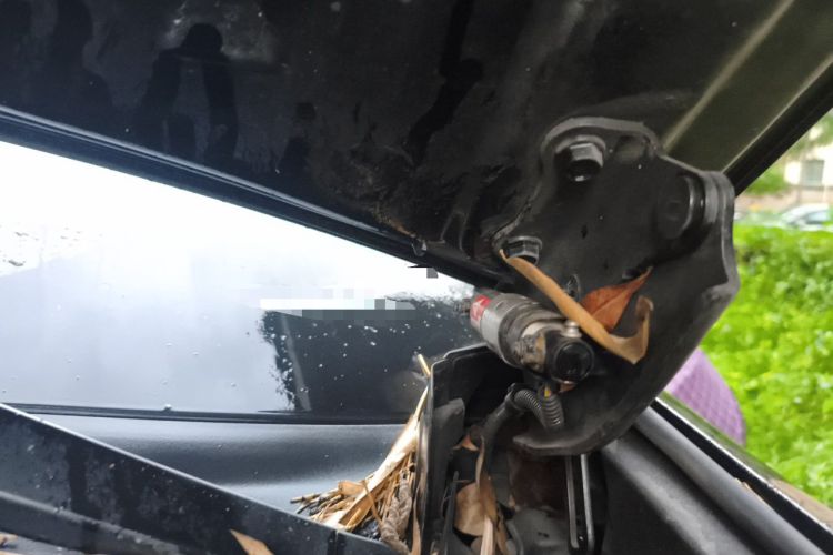 Used Lexus ES 2021 260 Excellence Edition Engine Bay Left