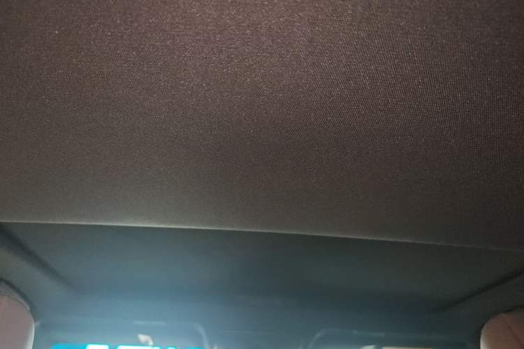 Used Lexus ES 2021 200 Excellence Edition Headliner