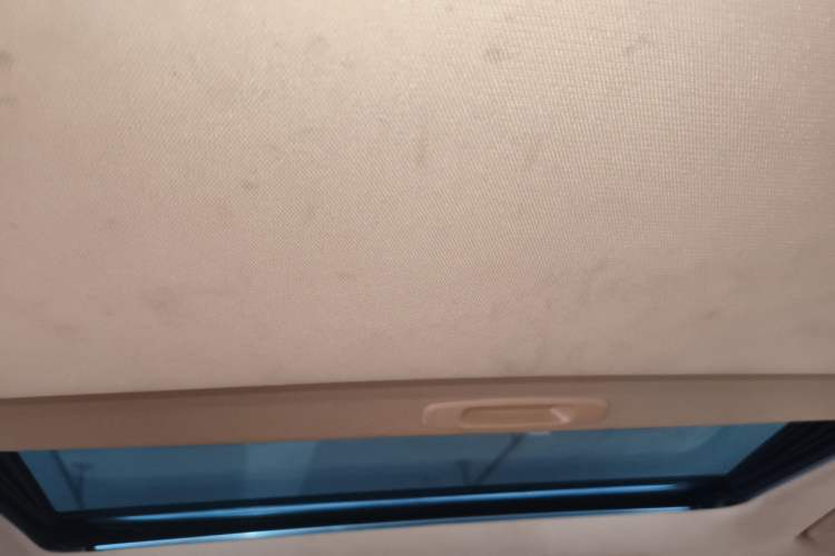 Used Lexus ES 2021 300h Excellence Edition Headliner