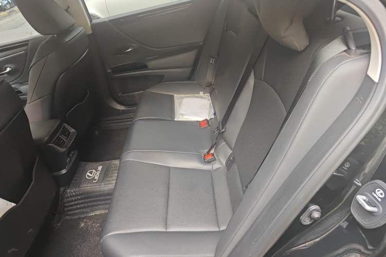 Used Lexus ES 2021 260 Excellence Edition Left Rear Seat