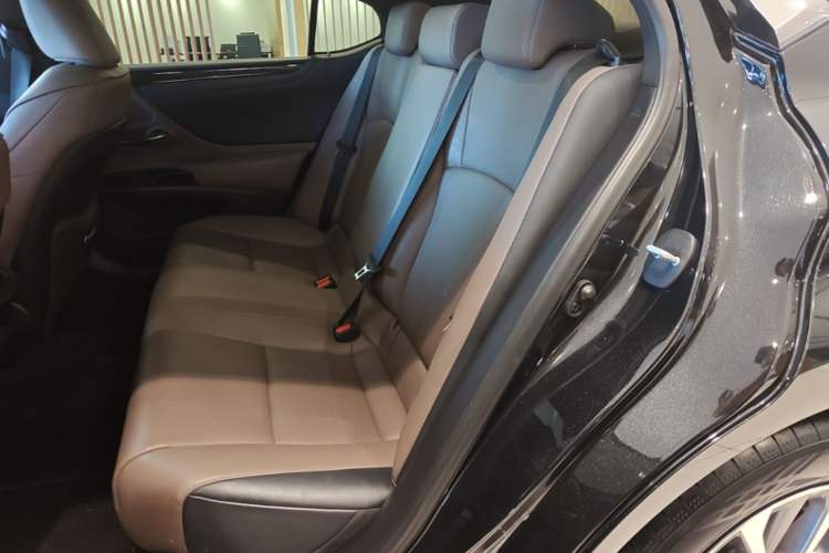 Used Lexus ES 2021 200 Excellence Edition Left Rear Seat