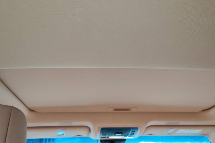 Used Lexus ES 2021 200 Excellence Edition Headliner