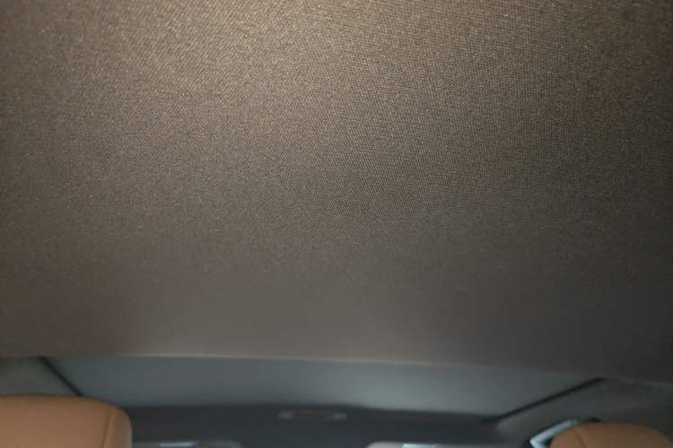 Used Lexus ES 2021 300h Deluxe Edition Headliner