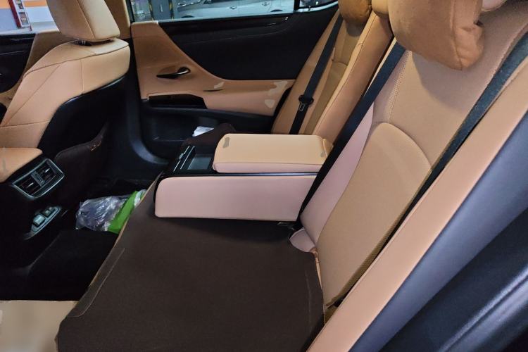 Used Lexus ES 2021 260 Excellence Edition Left Rear Seat