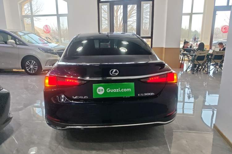 Used Lexus ES 2021 300h Deluxe Edition Rear