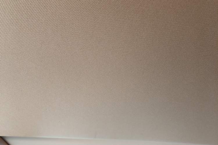 Used Lexus ES 2021 200 Excellence Edition Headliner