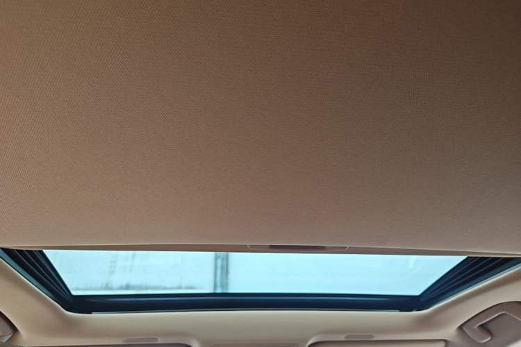 Used Lexus ES 2021 300h Executive Edition Headliner