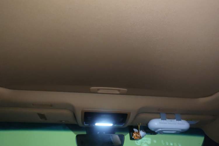 Used Lexus ES 2021 200 Excellence Edition Headliner