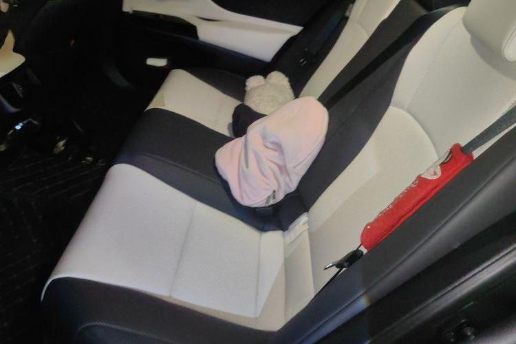 Used Lexus ES 2021 260 F SPORT Left Rear Seat