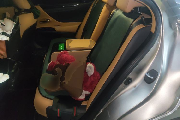 Used Lexus ES 2021 200 Excellence Edition Left Rear Seat