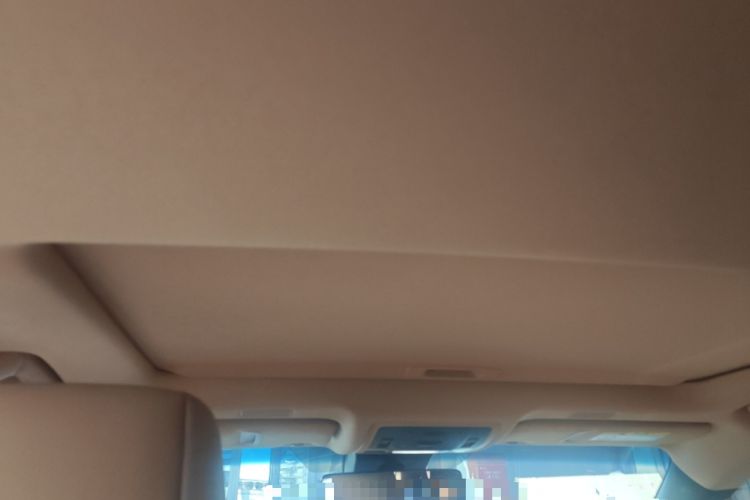 Used Lexus ES 2021 200 Excellence Edition Headliner