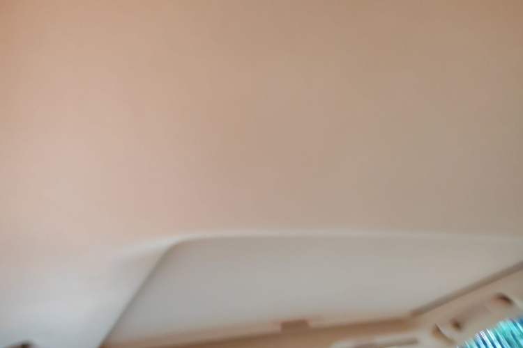 Used Lexus ES 2021 300h Excellence Edition Headliner