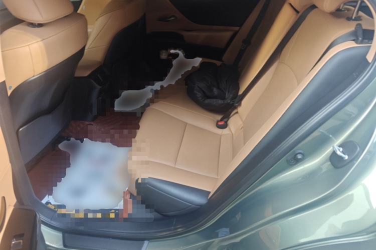 Used Lexus ES 2021 200 Excellence Edition Left Rear Seat
