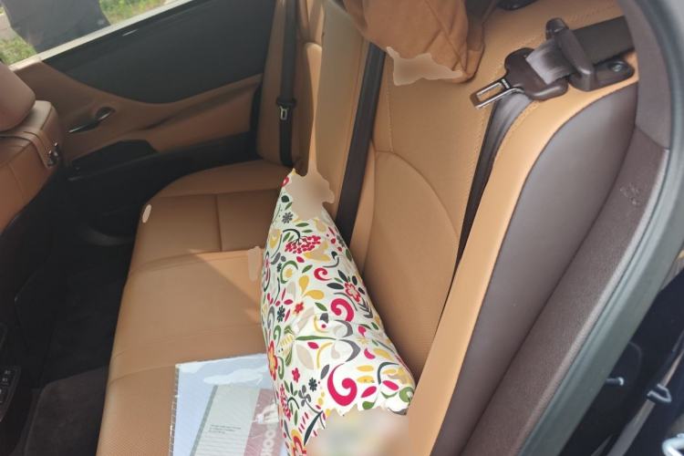 Used Lexus ES 2021 300h Deluxe Edition Left Rear Seat